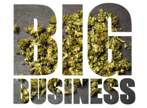 Marijuana big business